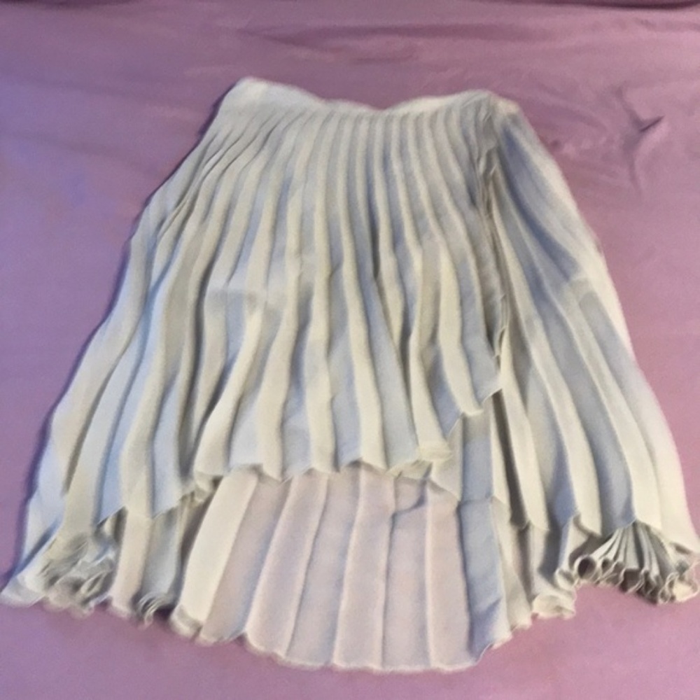 pleated skirt